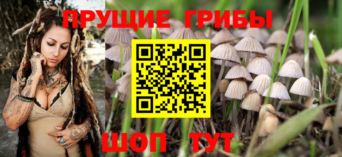 Псилоцибиновые грибы прущие грибы  Вход с VPN  Ачинск 